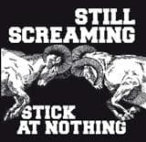 Stick At Nothing