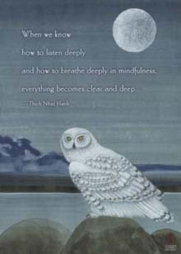 Everything Becomes Clear & Deep Nk233