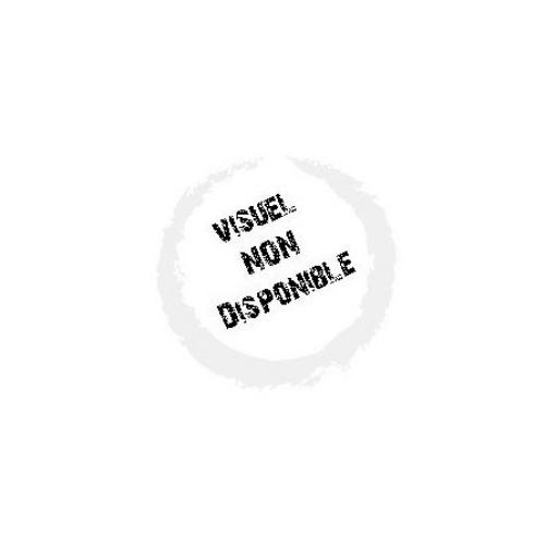 Asterix Le Domaine Des Dieux 3D