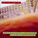 Thomas Bohm-Christl / Joachim Gies - Not Missing Drums Project