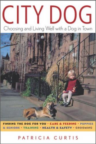 City Dog