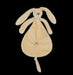 Happy Horse - Rabbit Richie Recycled Nusseklud - 25 Cm - Beige (134012)