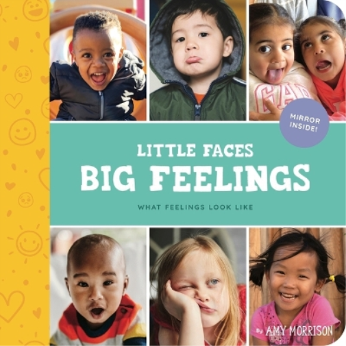 Little Faces Big Feelings: What Emotions Look Like: 2 (Little Feminist Presents