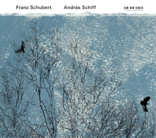 Franz Schubert: Andras Schiff