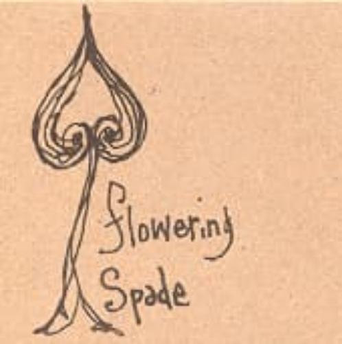 Flowering Spade