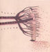 Quixotocism