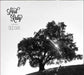Old Oak