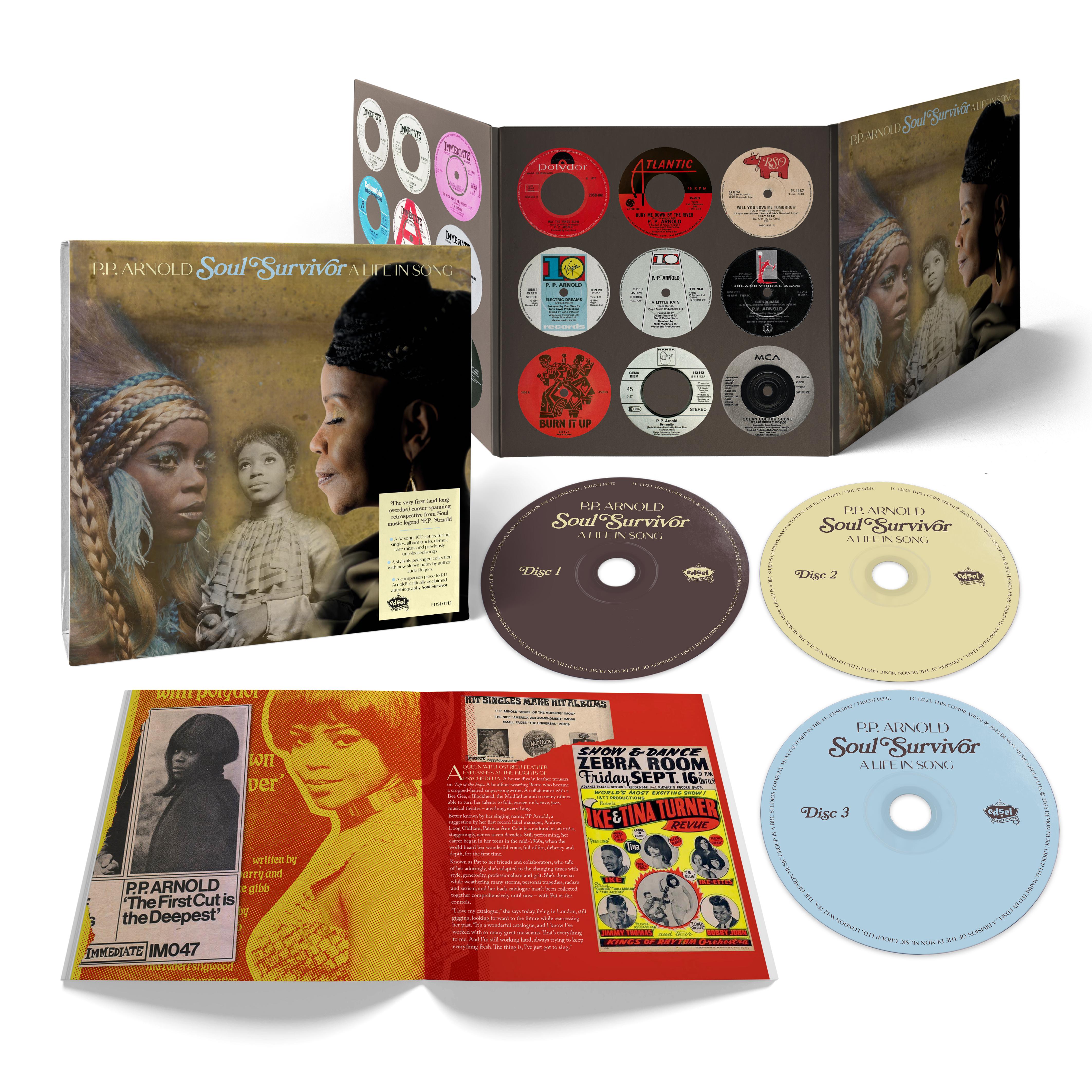 Soul Survivor: A Life in Song