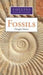 Hamlyn Guide to Fossils