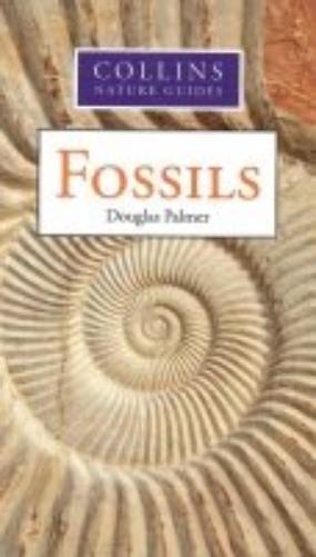 Hamlyn Guide to Fossils
