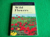 Field Naturalist Wild Flowers