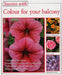 Colour for Your Balcony (Success with Gardening