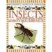 Insects and Other Invertebrates (Wonderful world of animals