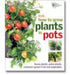 RHS How To Grow Plants in Pots (Hardback)