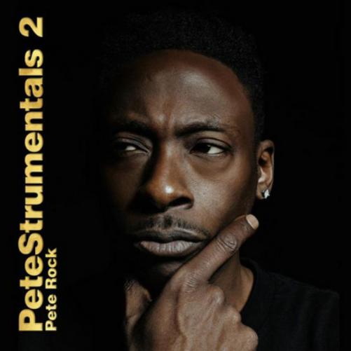 Petestrumentals - Volume 2