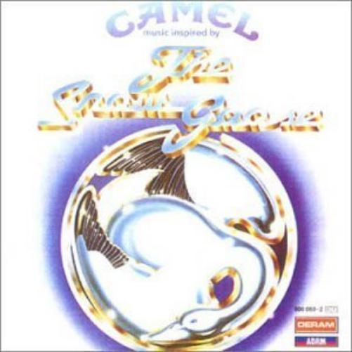 Snow Goose
