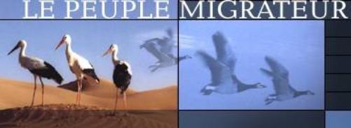 Le Peuple Migrateur (Bof)