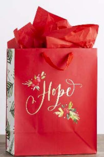 Day Spring Cards Gift Bag-Specialty-Hope-Romans 15:13-Large (Jul