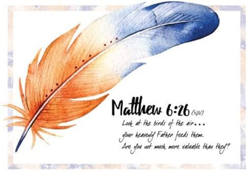 Under His Wings - All Occasion Greeting Cards - NIV Scripture - (Box of 12