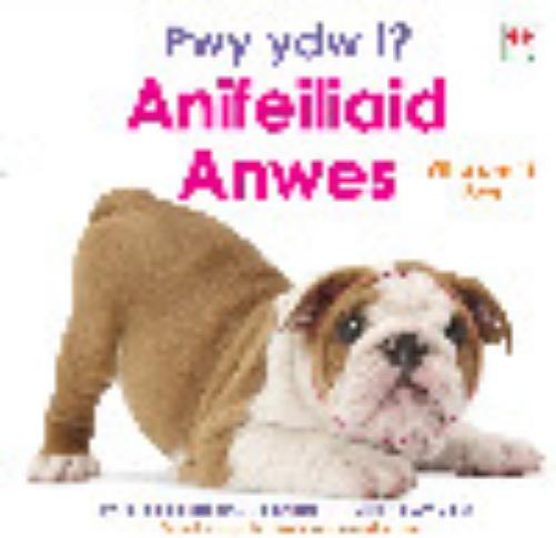 Pwy ydw i? Anifeiliaid Anwes / Who Am I? Pets
