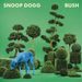 Bush