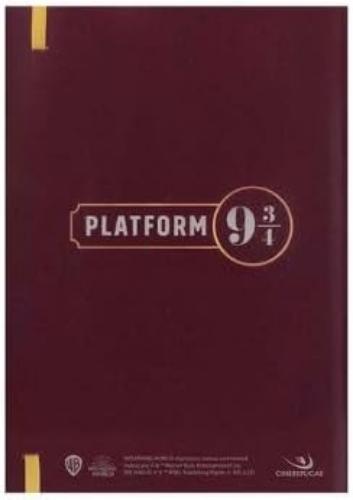 Harry Potter - Hogwarts Express ( DO5100 )