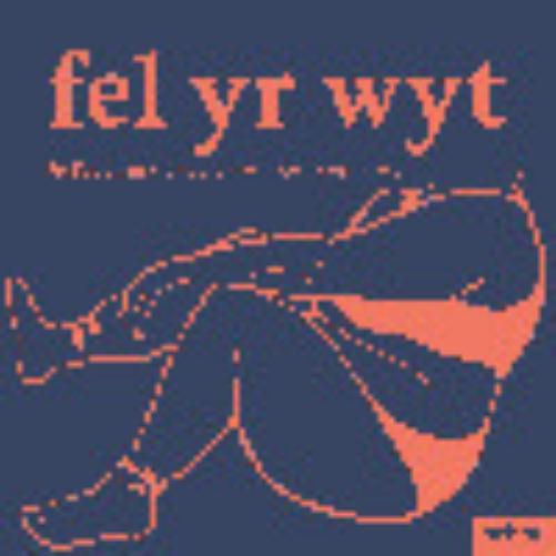 Fel yr wyt