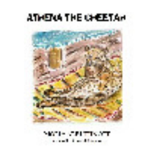 Athena the Cheetah