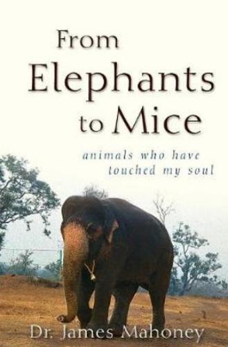 From Elephants To Mice