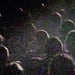 Live @ La Gaîté Lyrique
