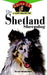 Shetland Sheepdog: An Owner's Guide