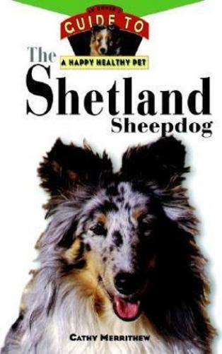 Shetland Sheepdog: An Owner's Guide