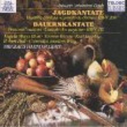 Cantates Bwv 208/212 Profanes