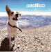 Pacifico