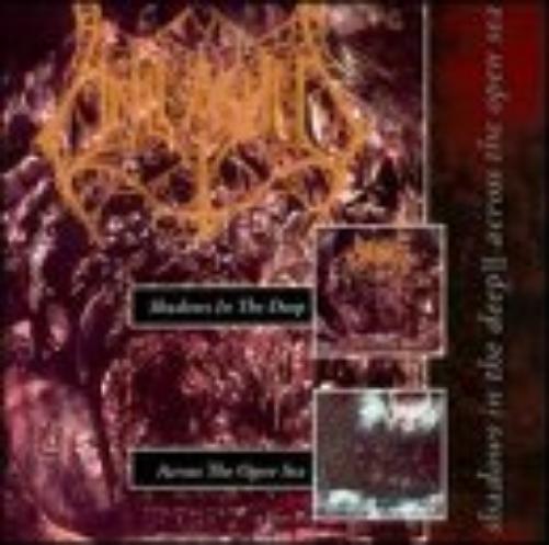 Shadows in the Deep