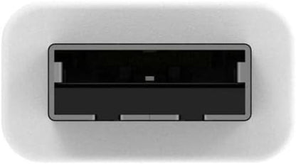 D-Link AN3U N300 Wi-Fi 4 USB Adapter/Dongle for PC/Desktop/Laptop, 300 Mbps, MIMO, WPA3, USB 2.0, Ultra Portable, Supports Windows 11/10