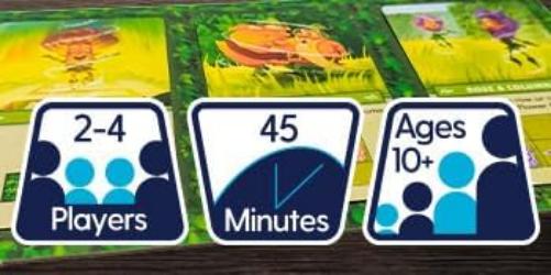Hedge Mage, Strategic Maze-Building Board Game, Family Fun, 2-4 Players, 45 Minutes, Ages 10+, English