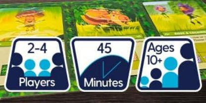 Hedge Mage, Strategic Maze-Building Board Game, Family Fun, 2-4 Players, 45 Minutes, Ages 10+, English