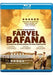 Goodbye Bafana Bd