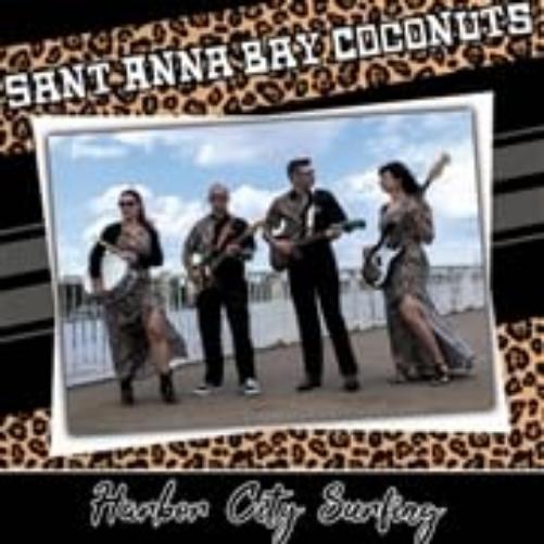 Harbor City Surfing