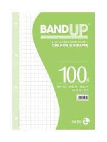 Ricambi Band-Up Rinforzati A4 100Gr 40Fg 10Mm