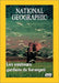National Geographic : Les Vautours, gardiens du Serengeti