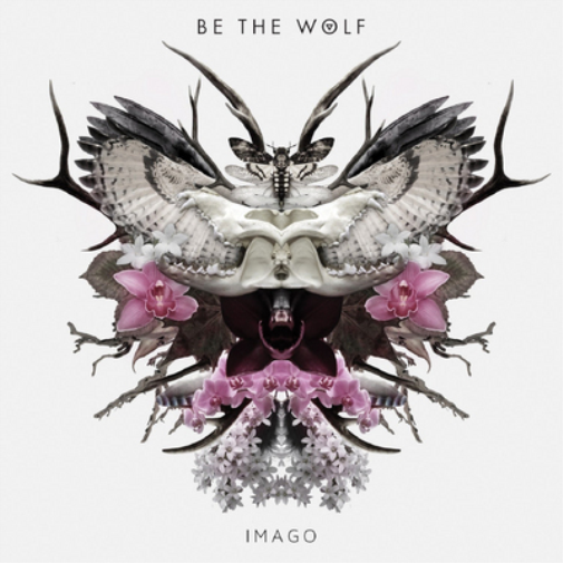 Imago