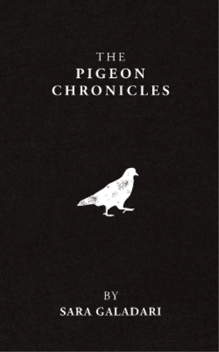 The Pigeon Chronicles