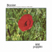 Heroine: The Wild Poppies Complete Collection 1986-1989