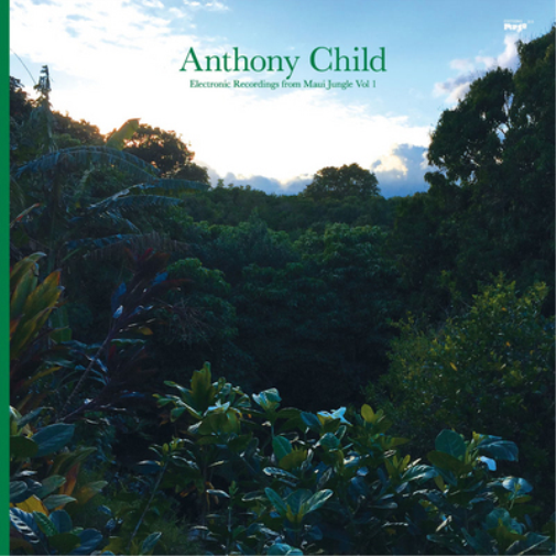 Electronic Recordings from Maui Jungle - Volume 1