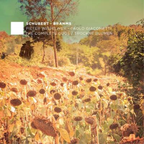 Schubert/Brahms: The Complete Duos/Trockne Blumen