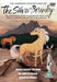 Silver Brumby - (Italian Import)