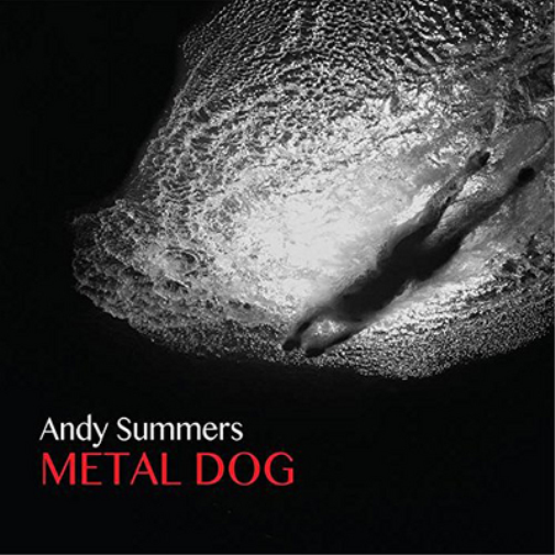 Metal Dog