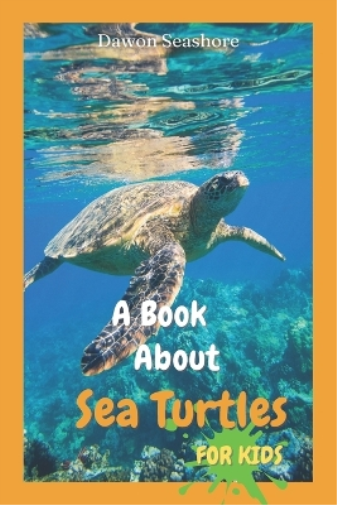 A Book About Sea Turtles For Kids
